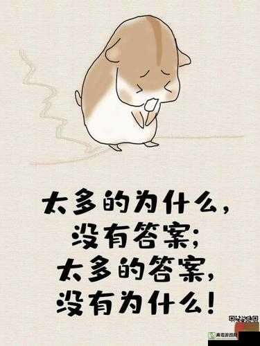 无码内谢：独特体验与深刻感悟的交汇