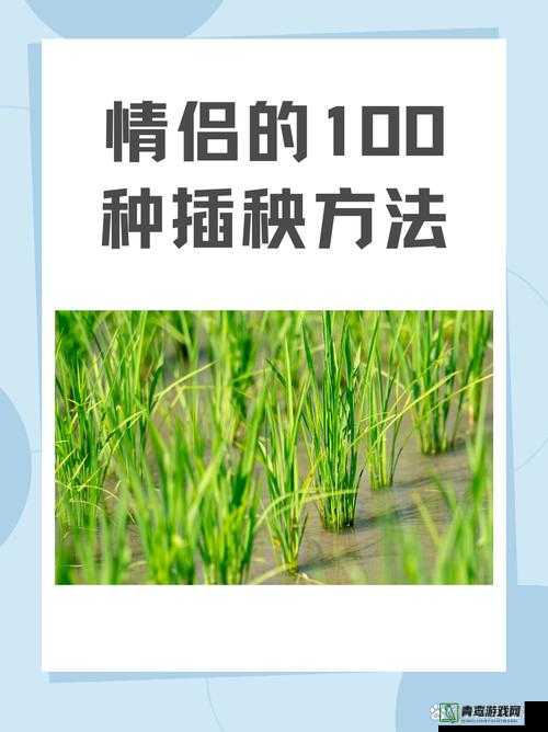 情侣的 100 种插秧方法：探索爱与劳动的奇妙融合之旅