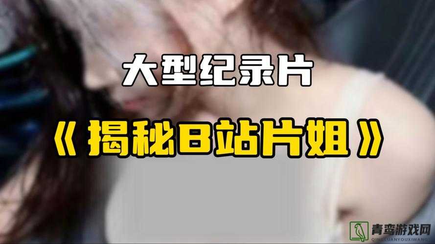 哔哩哔哩成人区精彩内容不断呈现：海量视频等你探索