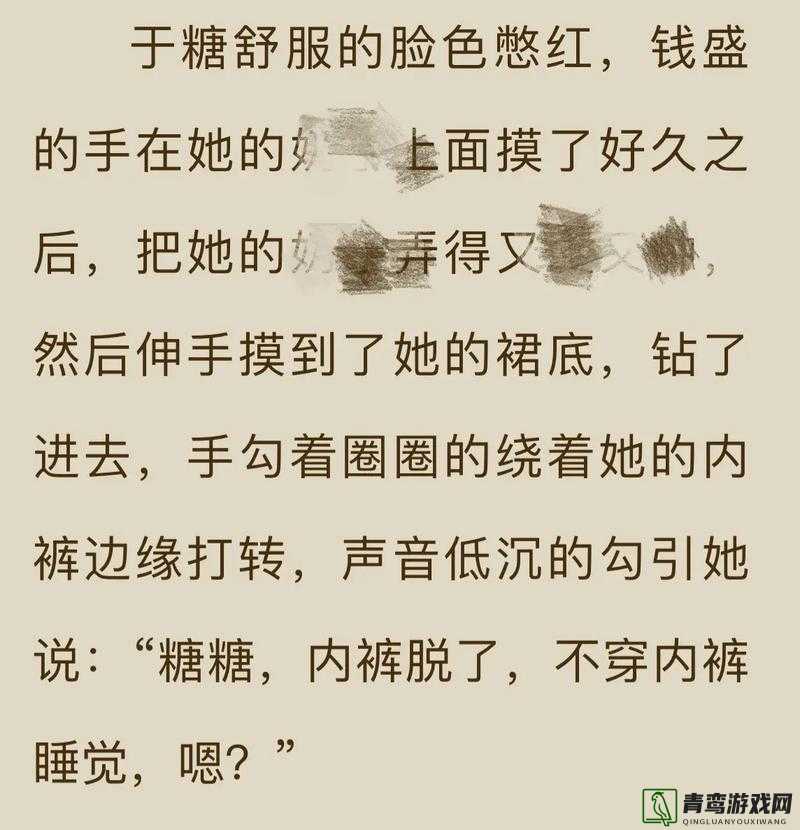 小说名：欧美肥妇 BwBWBWBXx：一场充满激情与欲望的故事