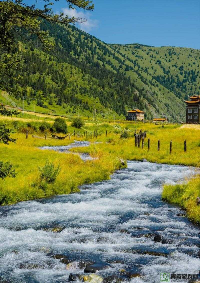 深山秘境：两峰夹溪，地湿无泥，别有一番诗意