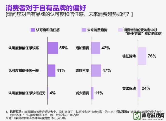 精品二线三线品牌对消费者的影响之具体表现及作用分析