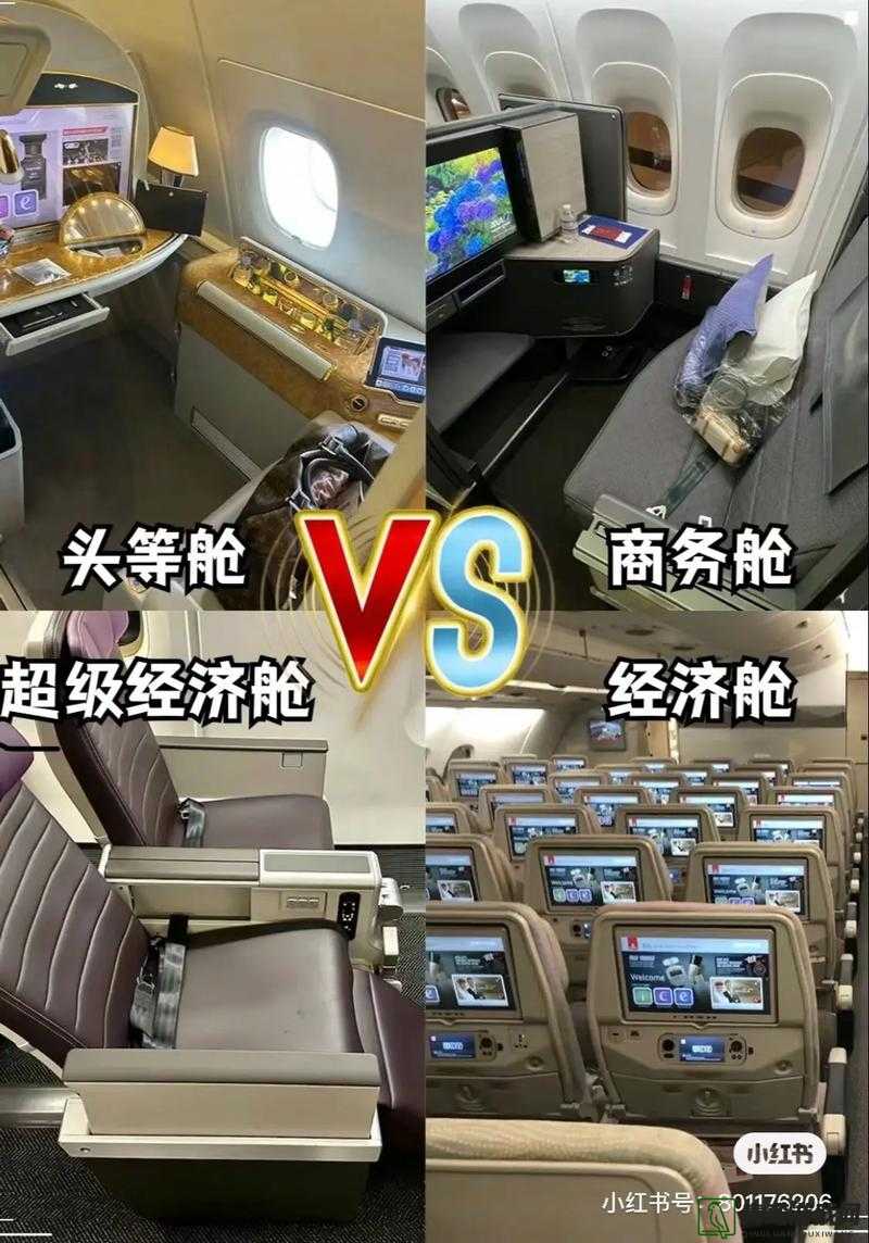 头等舱特殊待遇 2 具体有哪些：尊享极致服务与礼遇