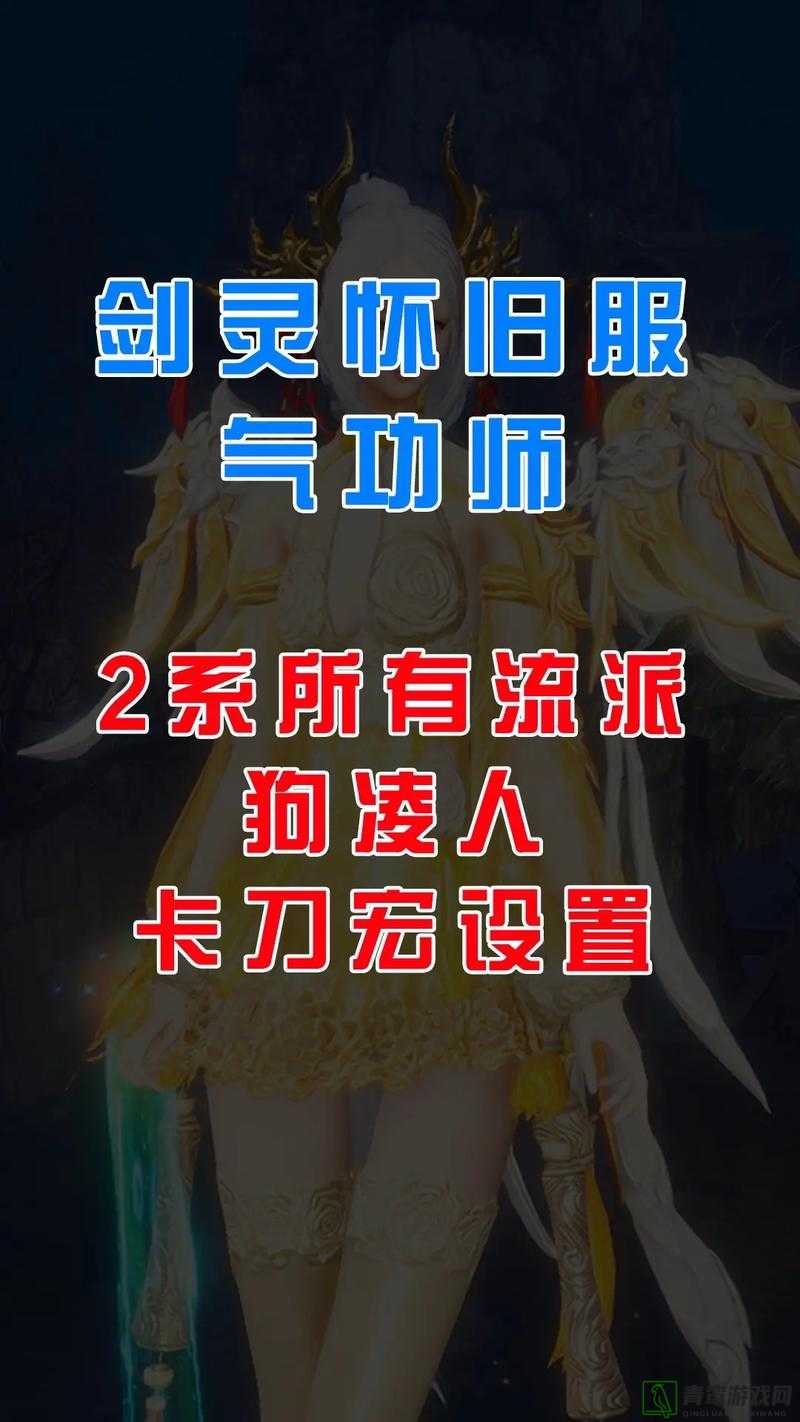 剑灵力士高效卡刀宏设置全面教程，一键操作，轻松解放你的双手