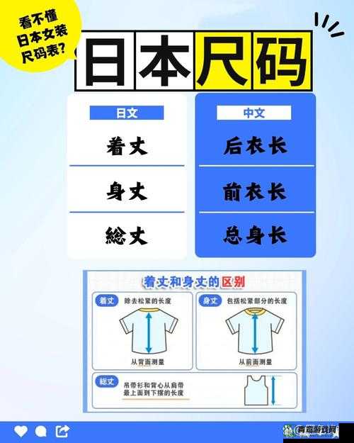 如何辨别日本尺码一码二码三码之详细解读与实用技巧介绍