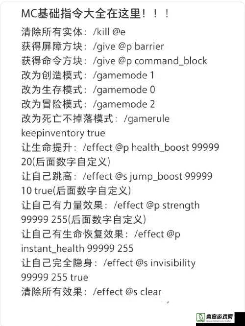 我的世界游戏指南，全面解析骷髅马生成与控制的指令大全