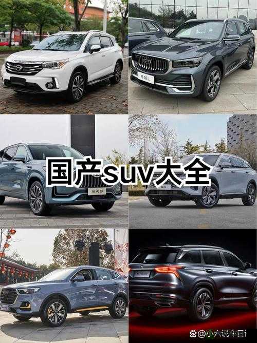 497799 欧洲版的国产 SUV 有何特点：深入探究其独特之处